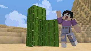 Screenshot of the Minecraft Bedrock Marketplace product Secret Cactus Base created by Cubed Creations.