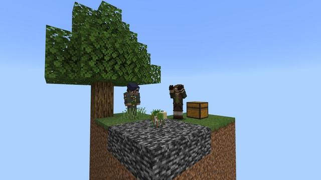Screenshot of the Minecraft Bedrock Marketplace product Skyblock Drops created by Cubed Creations.