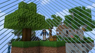 Screenshot of the Minecraft Bedrock Marketplace product Skyblock Expanding Border created by Cubed Creations.