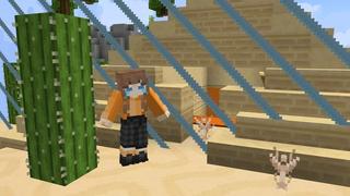 Screenshot of the Minecraft Bedrock Marketplace product Skyblock Expanding Border created by Cubed Creations.