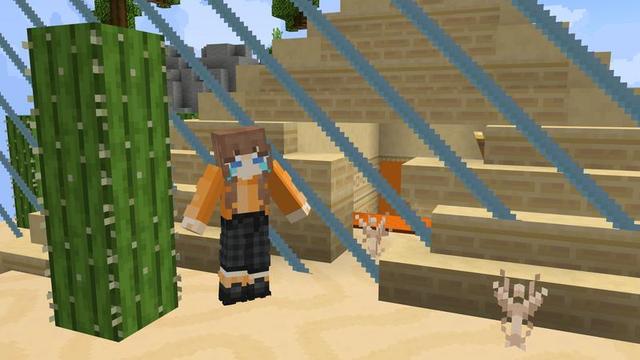 Screenshot of the Minecraft Bedrock Marketplace product Skyblock Expanding Border created by Cubed Creations.