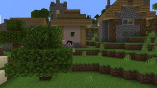 Screenshot of the Minecraft Bedrock Marketplace product Vertical Survival created by Cubed Creations.