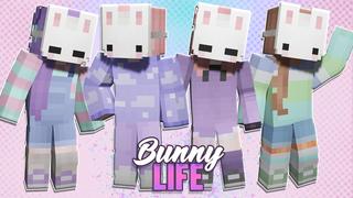 Thumbnail of the Minecraft Bedrock Marketplace product Bunny Life Skin Pack created by CupcakeBrianna.