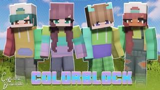 Thumbnail of the Minecraft Bedrock Marketplace product Colorblock HD Skin Pack created by CupcakeBrianna.