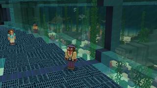 Screenshot of the Minecraft Bedrock Marketplace product Aquatic Life created by Cyclone.