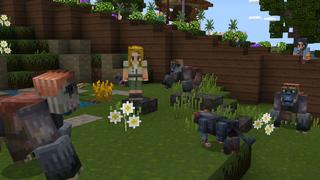 Screenshot of the Minecraft Bedrock Marketplace product Mine Zoo created by Cyclone.