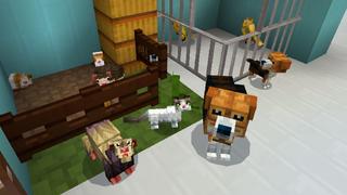 Screenshot of the Minecraft Bedrock Marketplace product Shopping Time! created by Cyclone.