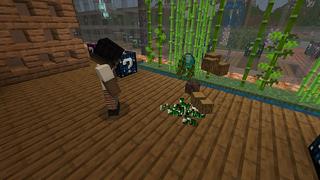 Screenshot of the Minecraft Bedrock Marketplace product Lucky Block Hacker created by Cynosia.