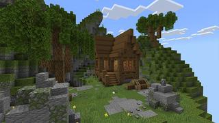 Screenshot of the Minecraft Bedrock Marketplace product One Block created by Cynosia.