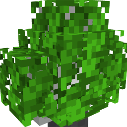 Thumbnail of the Minecraft Bedrock Marketplace product Big Bush created by Cypress Games.