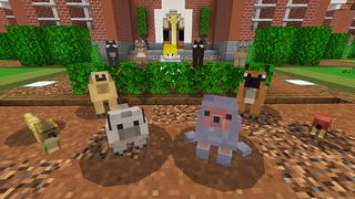 Screenshot of the Minecraft Bedrock Marketplace product Lovely Pets created by Cypress Games.