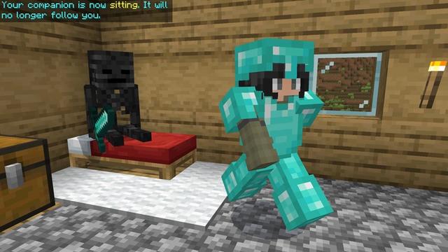 Screenshot of the Minecraft Bedrock Marketplace product PatPat Add-On created by Cypress Games.