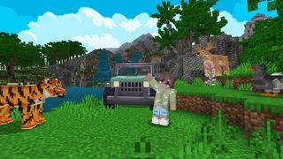 Screenshot of the Minecraft Bedrock Marketplace product Plane Crash created by Cypress Games.