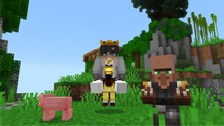 Screenshot of the Minecraft Bedrock Marketplace product Mini Mobs created by Dalibu Studios.