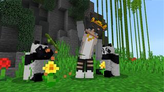 Screenshot of the Minecraft Bedrock Marketplace product Mini Mobs created by Dalibu Studios.