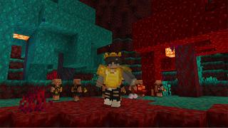 Screenshot of the Minecraft Bedrock Marketplace product Mini Mobs created by Dalibu Studios.