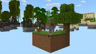 Screenshot of the Minecraft Bedrock Marketplace product Skyblock+ Bundle created by Dalibu Studios.