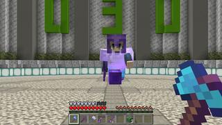 Screenshot of the Minecraft Bedrock Marketplace product Hacker Ores created by Dark Lab Creations.