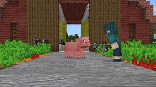 Screenshot of the Minecraft Bedrock Marketplace product Random Loot created by Dark Lab Creations.