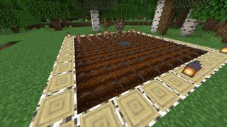 Screenshot of the Minecraft Bedrock Marketplace product Elemental Crops created by Darkosto.