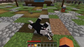 Screenshot of the Minecraft Bedrock Marketplace product Haus-Haustiere created by DeliSoft Studios.