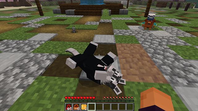 Screenshot of the Minecraft Bedrock Marketplace product House Pets created by DeliSoft Studios.