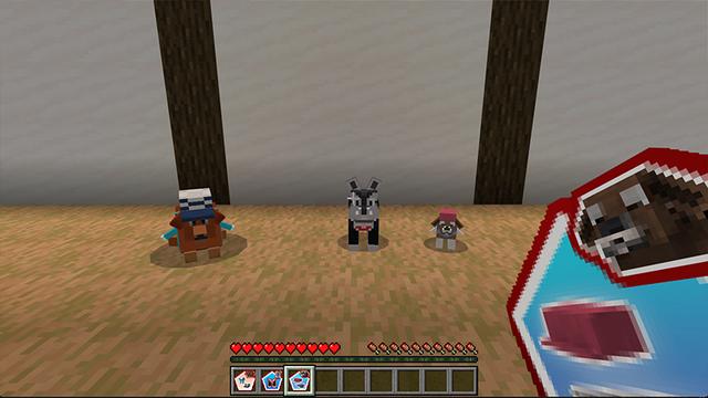 Screenshot of the Minecraft Bedrock Marketplace product House Pets created by DeliSoft Studios.