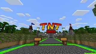 Screenshot of the Minecraft Bedrock Marketplace product TNT Mania created by DeliSoft Studios.