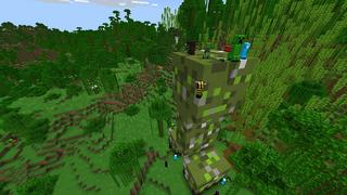 Screenshot of the Minecraft Bedrock Marketplace product Creepers Only! created by Diamond Studios.