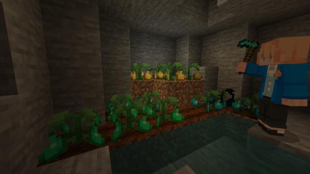 Screenshot of the Minecraft Bedrock Marketplace product More Crops Add-On created by Diamond Studios.