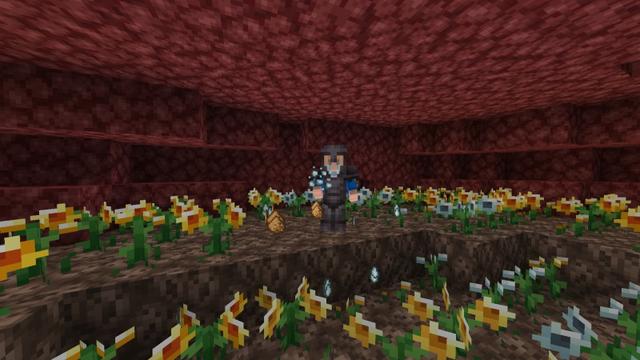 Screenshot of the Minecraft Bedrock Marketplace product More Crops Add-On created by Diamond Studios.