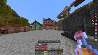 Screenshot of the Minecraft Bedrock Marketplace product More Potions created by Diamond Studios.