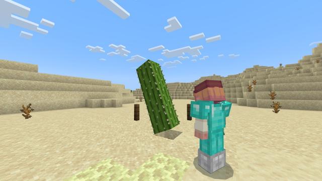 Screenshot of the Minecraft Bedrock Marketplace product Secret Cactus Base created by Diamond Studios.