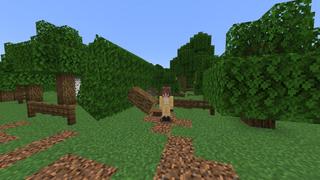Screenshot of the Minecraft Bedrock Marketplace product Secret Tree Base created by Diamond Studios.