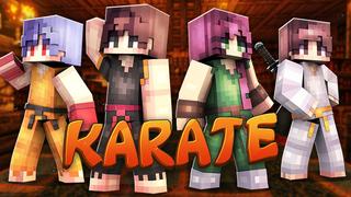 Thumbnail of the Minecraft Bedrock Marketplace product Karate created by Dig Down Studios.