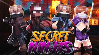 Thumbnail of the Minecraft Bedrock Marketplace product Secret Ninjas created by Dig Down Studios.