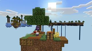 Screenshot of the Minecraft Bedrock Marketplace product Ring SkyBlock created by Diluvian.