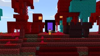 Screenshot of the Minecraft Bedrock Marketplace product Ring SkyBlock created by Diluvian.
