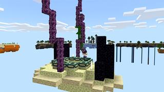 Screenshot of the Minecraft Bedrock Marketplace product Ring SkyBlock created by Diluvian.