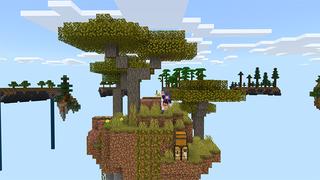 Screenshot of the Minecraft Bedrock Marketplace product Ring SkyBlock created by Diluvian.