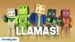 Thumbnail of the Minecraft Bedrock Marketplace product LLAMAS! created by Diveblocks.