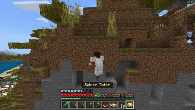 Screenshot of the Minecraft Bedrock Marketplace product Totems+ Add-On created by Diveblocks.