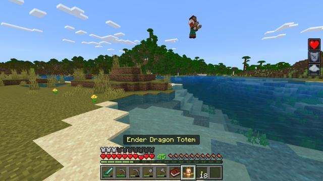 Screenshot of the Minecraft Bedrock Marketplace product Totems+ Add-On created by Diveblocks.
