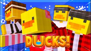 Thumbnail of the Minecraft Bedrock Marketplace product Ducks! created by Doctor Benx.