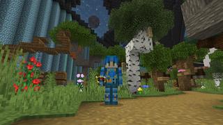 Screenshot of the Minecraft Bedrock Marketplace product Find The Alphabet created by Doctor Benx.