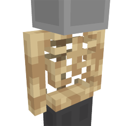 Thumbnail of the Minecraft Bedrock Marketplace product Skeleton Top created by Doctor Benx.