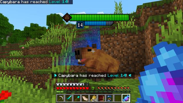 Screenshot of the Minecraft Bedrock Marketplace product Capybara Add-On created by Dodo Studios.