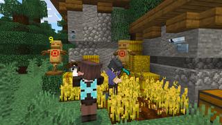 Screenshot of the Minecraft Bedrock Marketplace product Furniture Pack created by Dodo Studios.