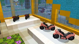 Screenshot of the Minecraft Bedrock Marketplace product Mob Vehicles created by Dodo Studios.