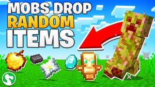 Thumbnail of the Minecraft Bedrock Marketplace product Mobs Drop Random Items created by Dodo Studios.